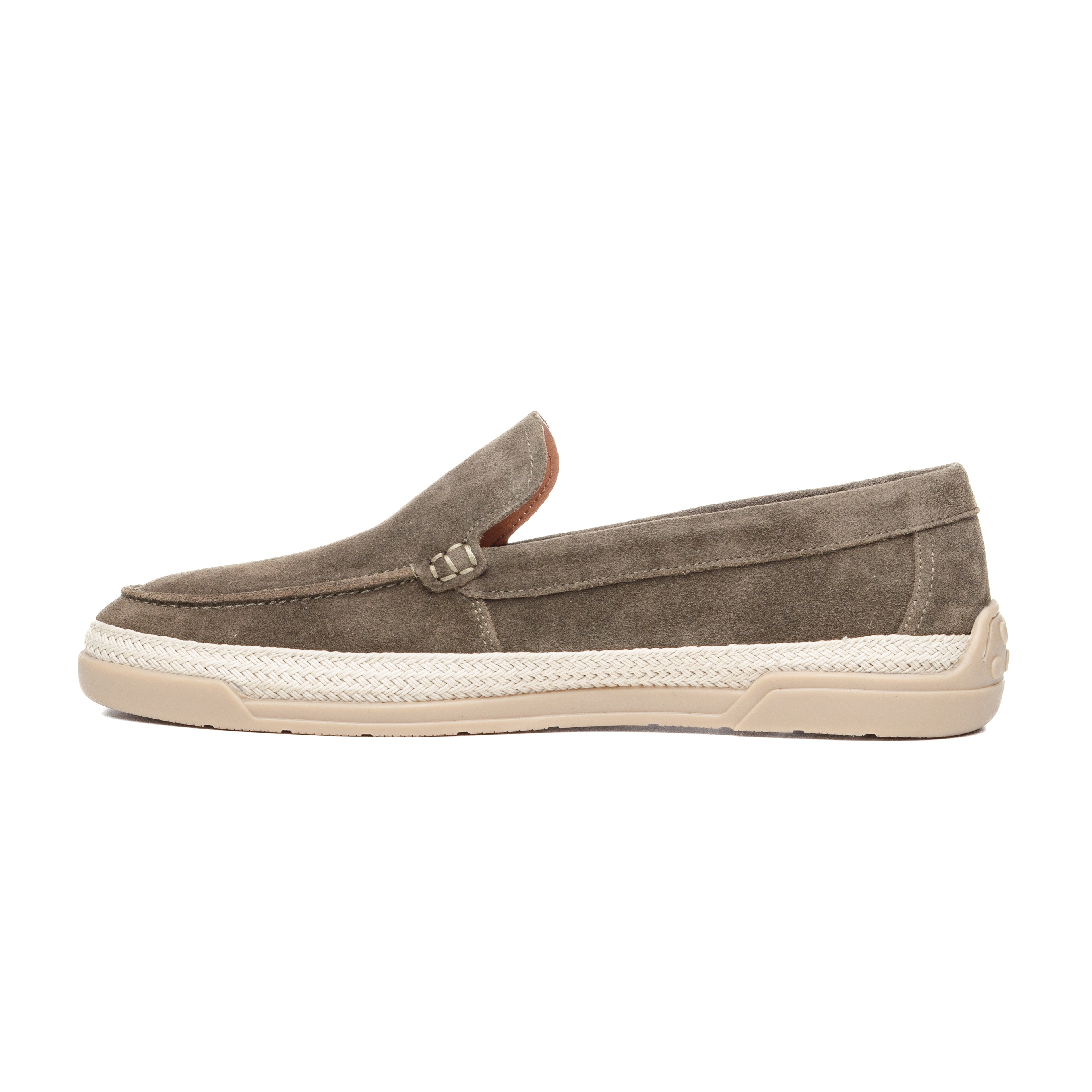 RAMI1 Olive