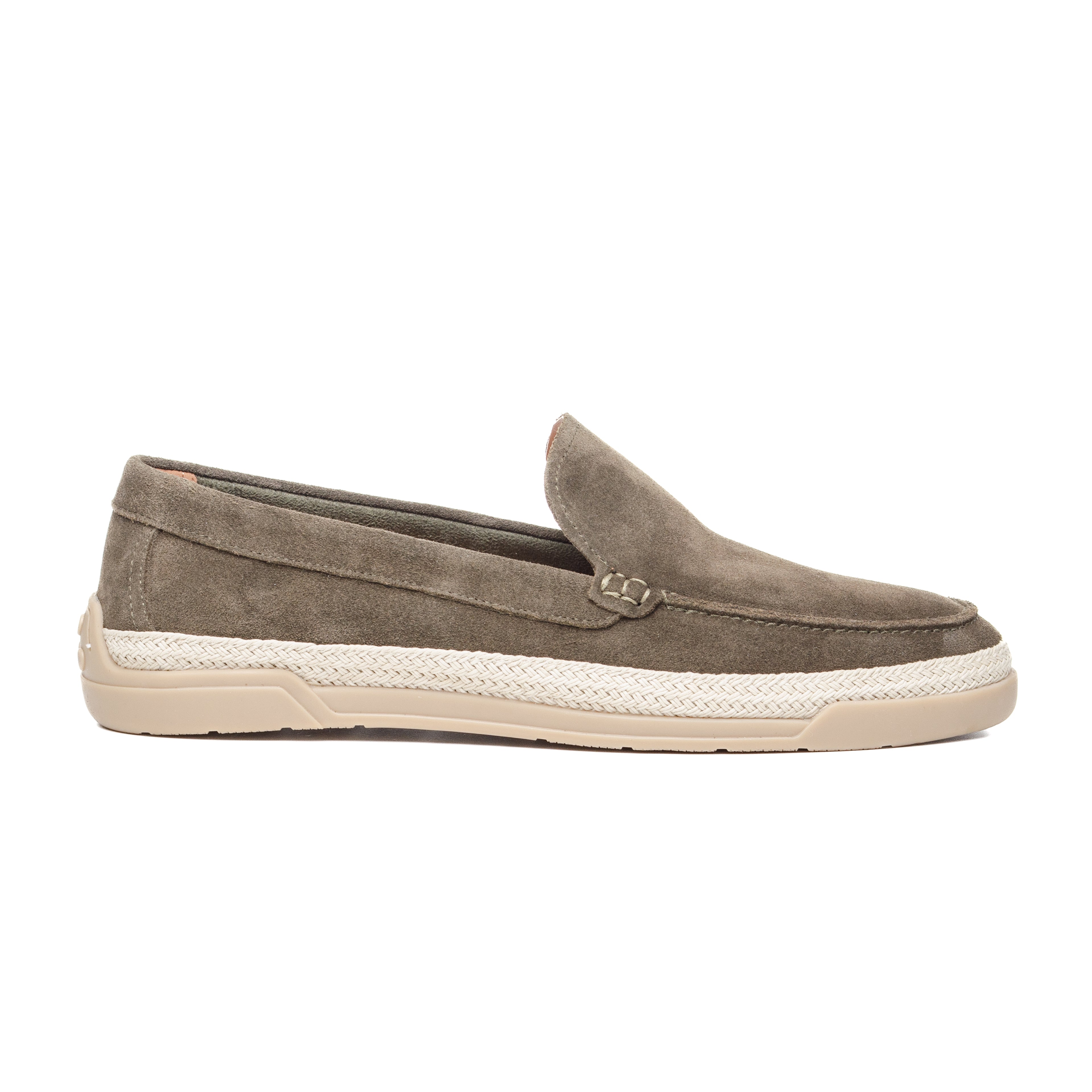 RAMI1 Olive